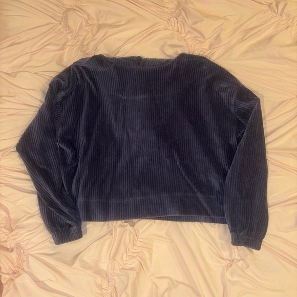 Navy Blue Velvet Aerie Hoodie - Picture 3 of 4